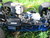 [... 917 views, IMG_0008_Größenveränderung.JPG...]