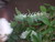 [... 751 views, DSCF1781.JPG...]
