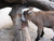 [... 774 views, IMG_0034.JPG...]