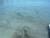 [... 2539 views, Ist das Wasser klar.......]