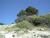 [... 2441 views, Santa Ponsa Umgebung!...]