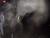 [... 2131 views, ZoOm pIc 916...]