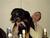 [... 2171 views, ZoOm pIc 938...]