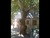 [... 663 views, IMG_0071.JPG...]