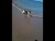 [... 689 views, IMG_0084.JPG...]