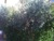 [... 654 views, IMG_0097.JPG...]