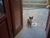 [... 685 views, IMG_0106.JPG...]