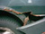 [... 796 views, ZoOm pIc 1240...]