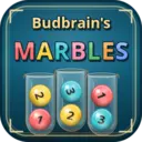 Budbrain&rsquo;s Marbles